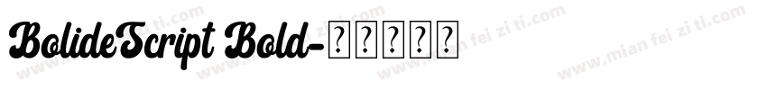 BolideScript Bold字体转换